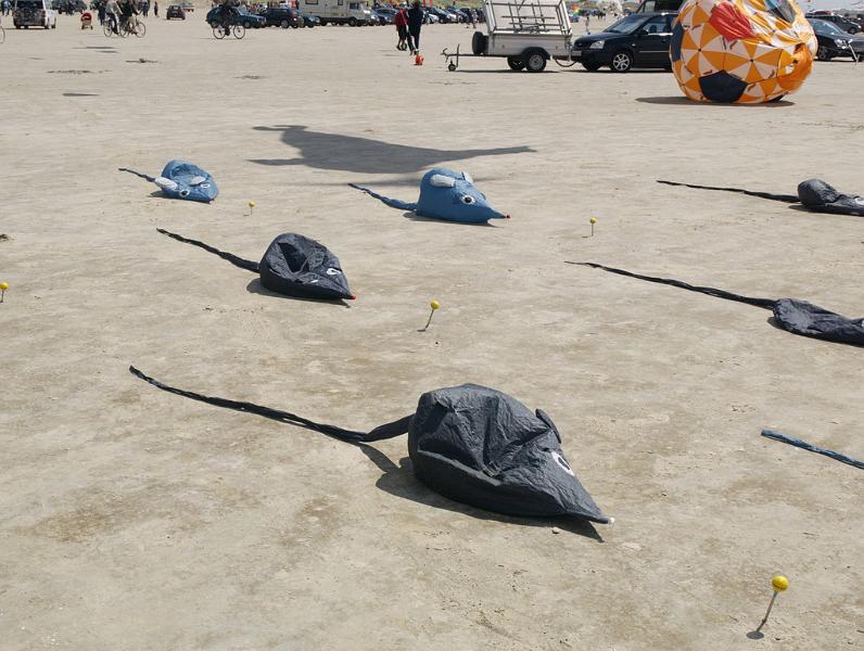 Fanø 2009 66.jpg